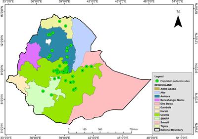 Harnessing genome-wide genetic diversity, population structure and linkage disequilibrium in Ethiopian durum wheat gene pool